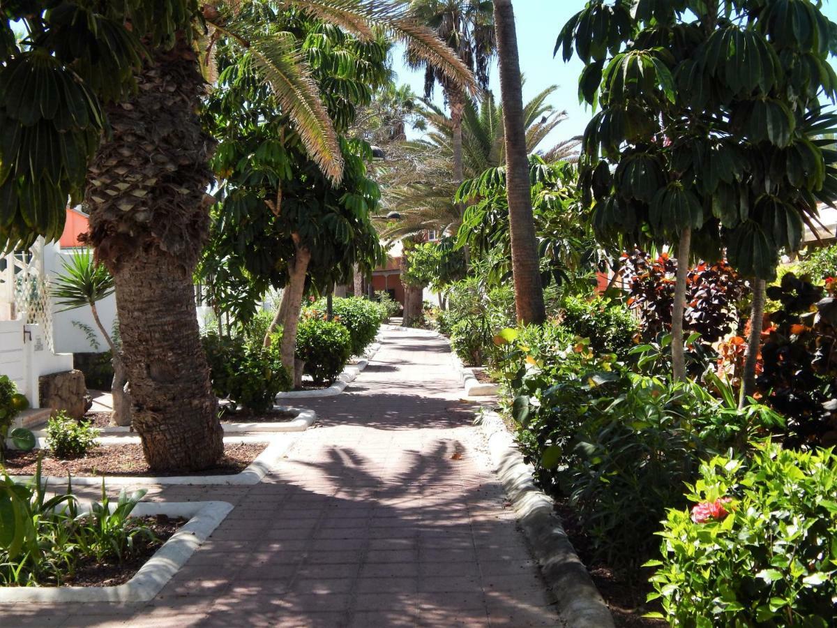 Beautiful Beachfront Playa de las Americas  Exterior photo